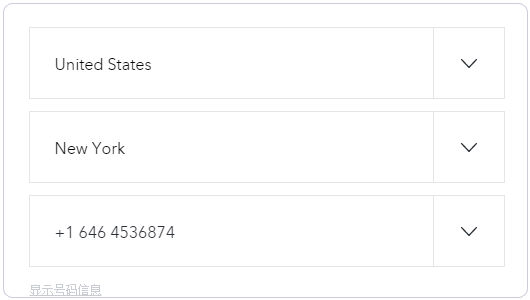 免费电话 国外免费电话 GoogleVoice