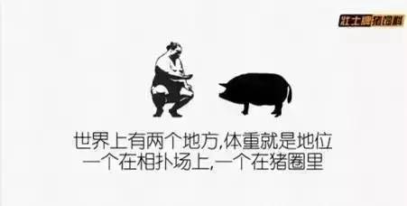 内容运营 社交媒体营销 产品推广