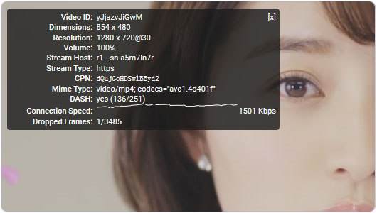 Bandwagonhost搬瓦工VPS流畅